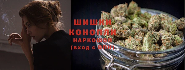 СК Осинники