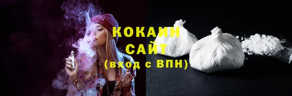 СК Осинники