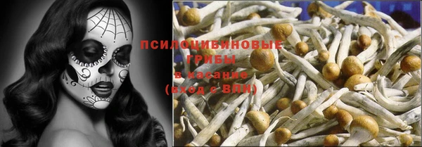 СК Осинники