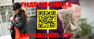 spice Гусиноозёрск