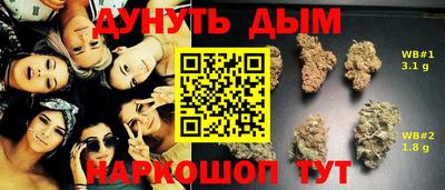 амф Гусев