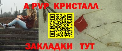 амф Гусев