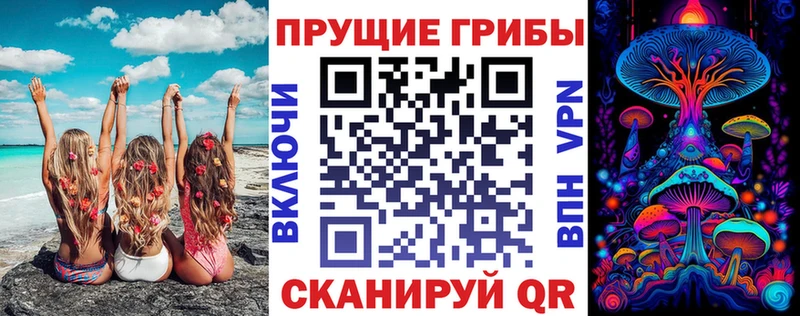 купить наркотики сайты  Кыштым  Галлюциногенные грибы Psilocybine cubensis 