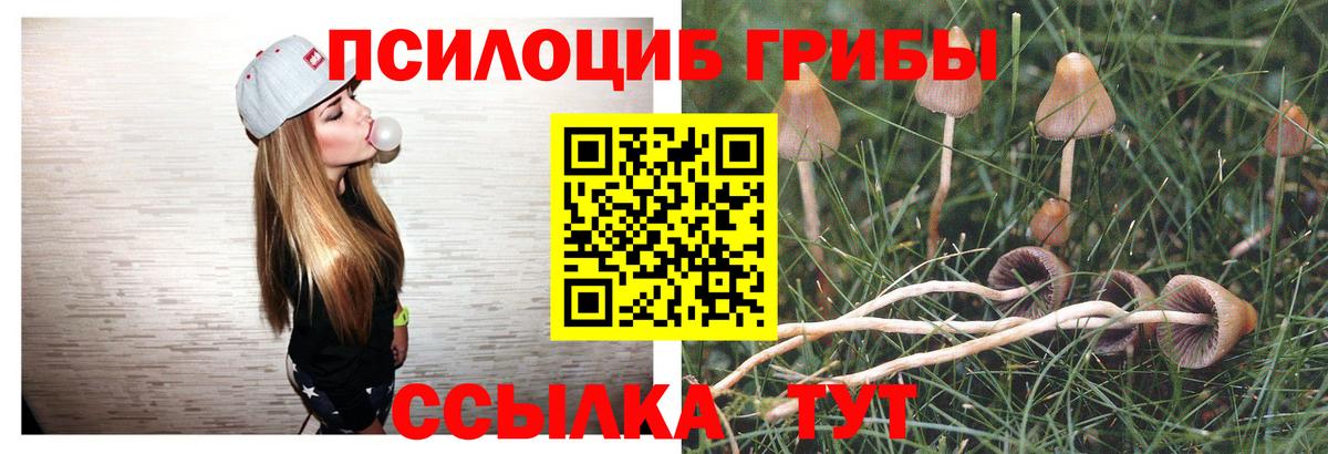 Псилоцибиновые грибы мицелий  Кыштым 
