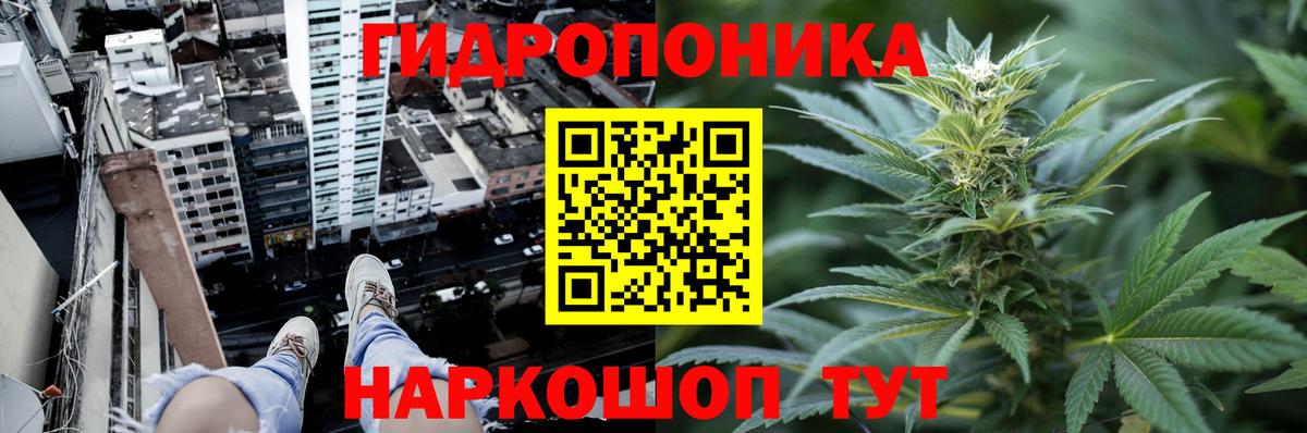 Бошки Шишки гибрид  Кыштым  Марихуана White Widow  Каннабис семена 